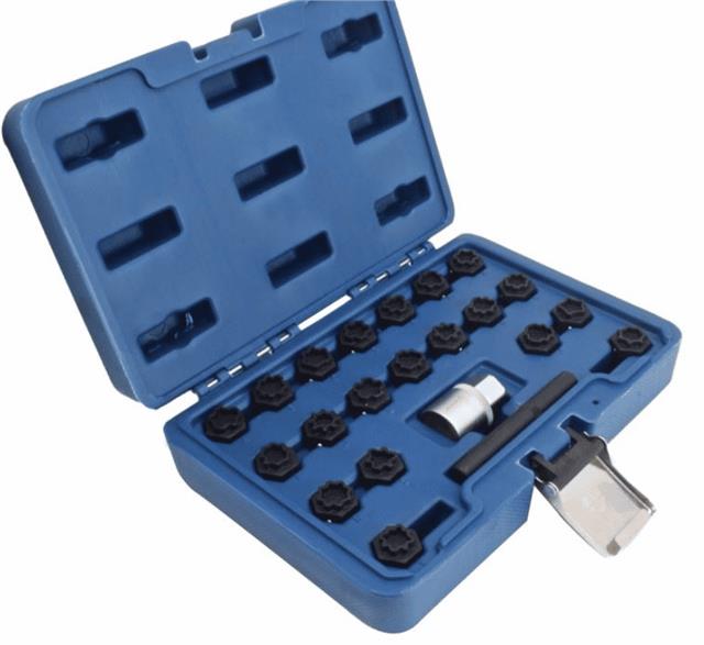 Set specijalnih matica kovanih za odvrtanje sigurnosnih šrafova za AUDI vozila 22/1 ( A-AUD22LS ) ASTA